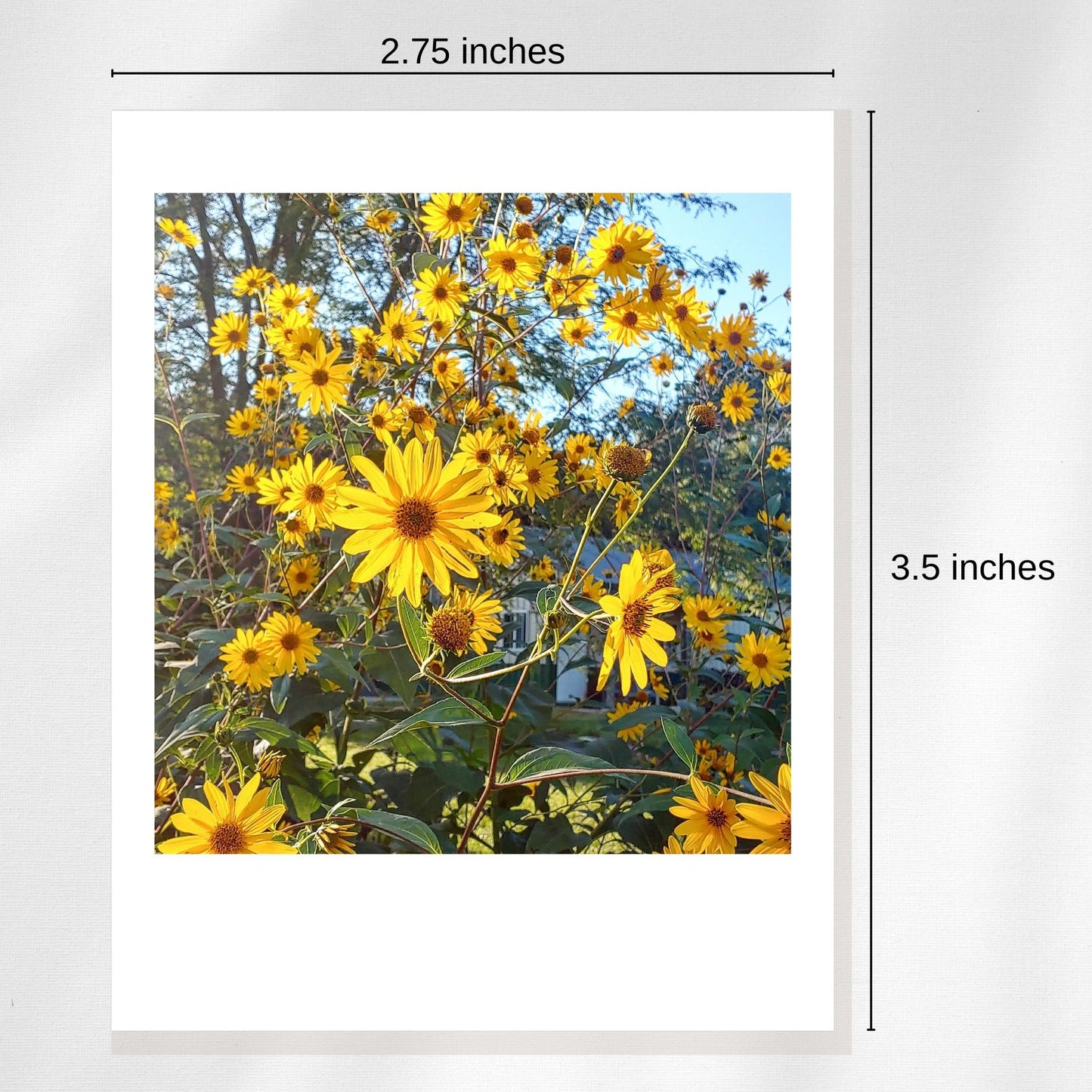 2.75 x 3.5-Inch Custom Photo Polaroid Style Magnets - Set of 9