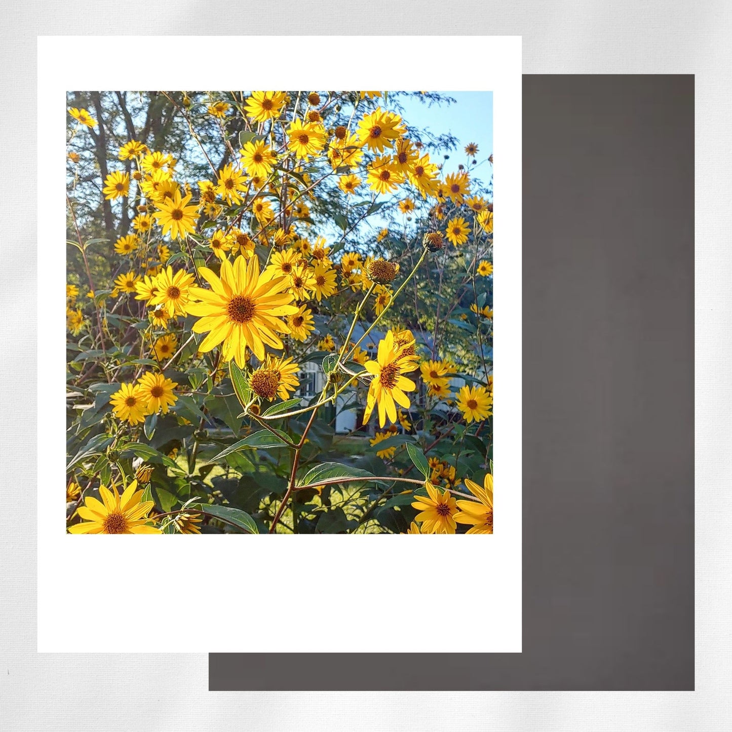 2.75 x 3.5-Inch Custom Photo Polaroid Style Magnets - Set of 9