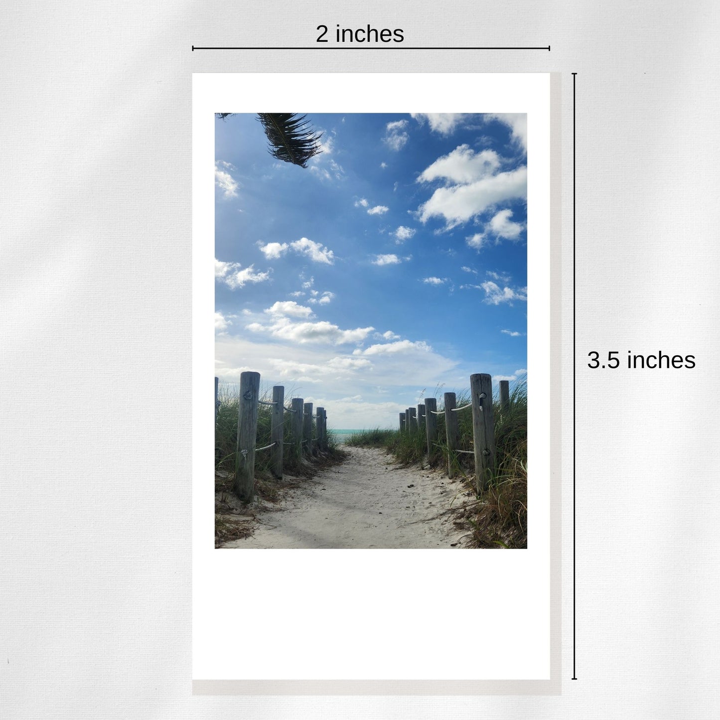 2 x 3.5-Inch Polaroid Style Magnets - Set of 12