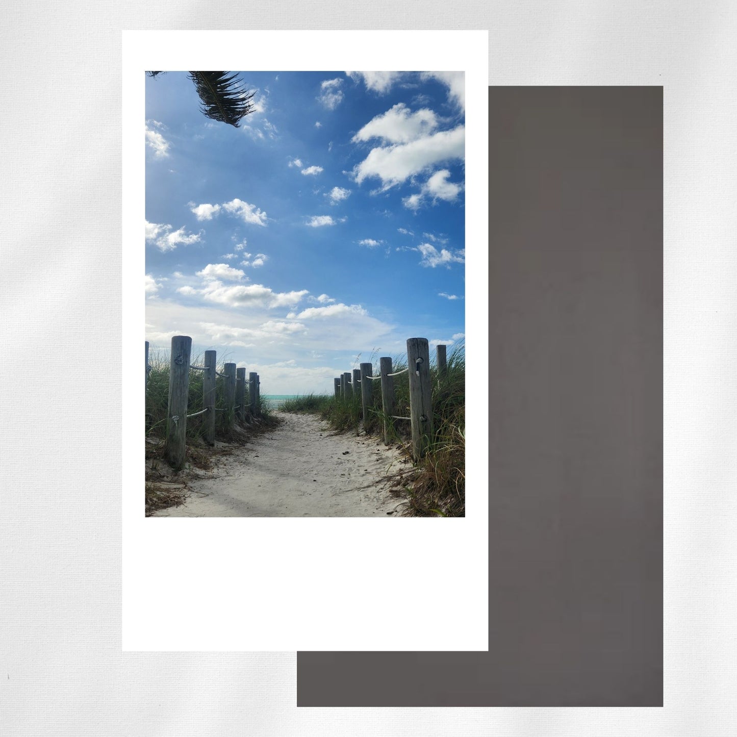 2 x 3.5-Inch Polaroid Style Magnets - Set of 12